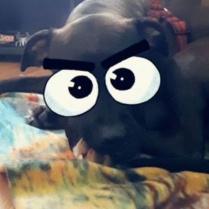 Meet your Posher, Kaila